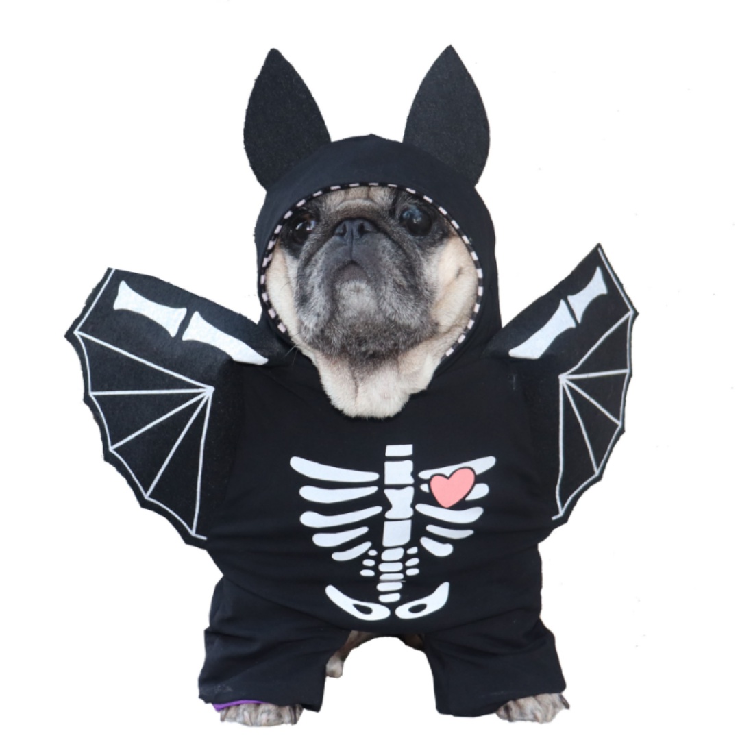Halloween Dog Outfit  Pet Bat Skeleton Costume